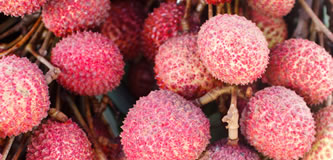 Lychee Variety - Pinnacle Hill Fresh Lychees